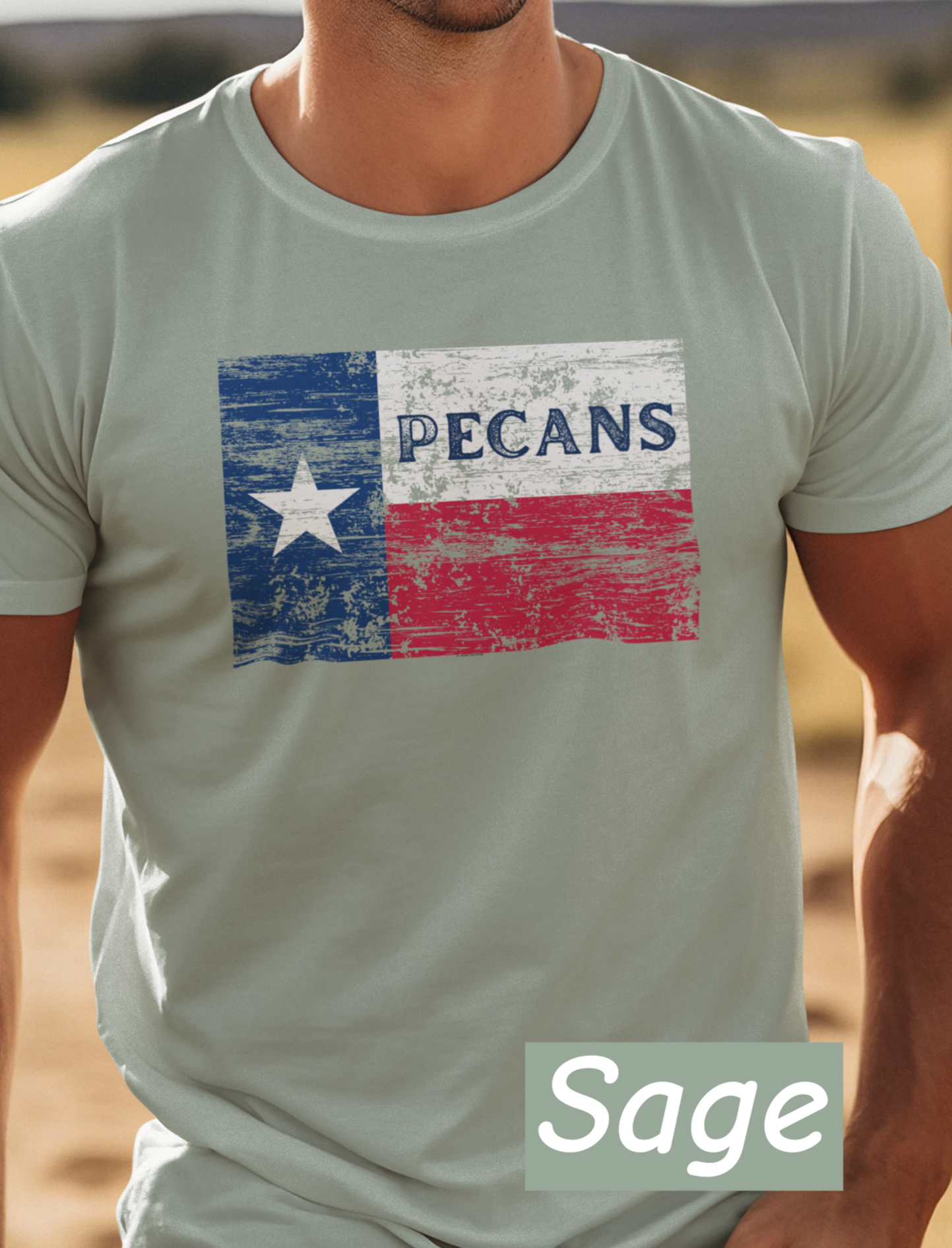 “Distressed Texas flag t-shirt with the word Pecans across the Lone Star stripe – Bella+Canvas 3001 unisex tee by NuttyMerch”
