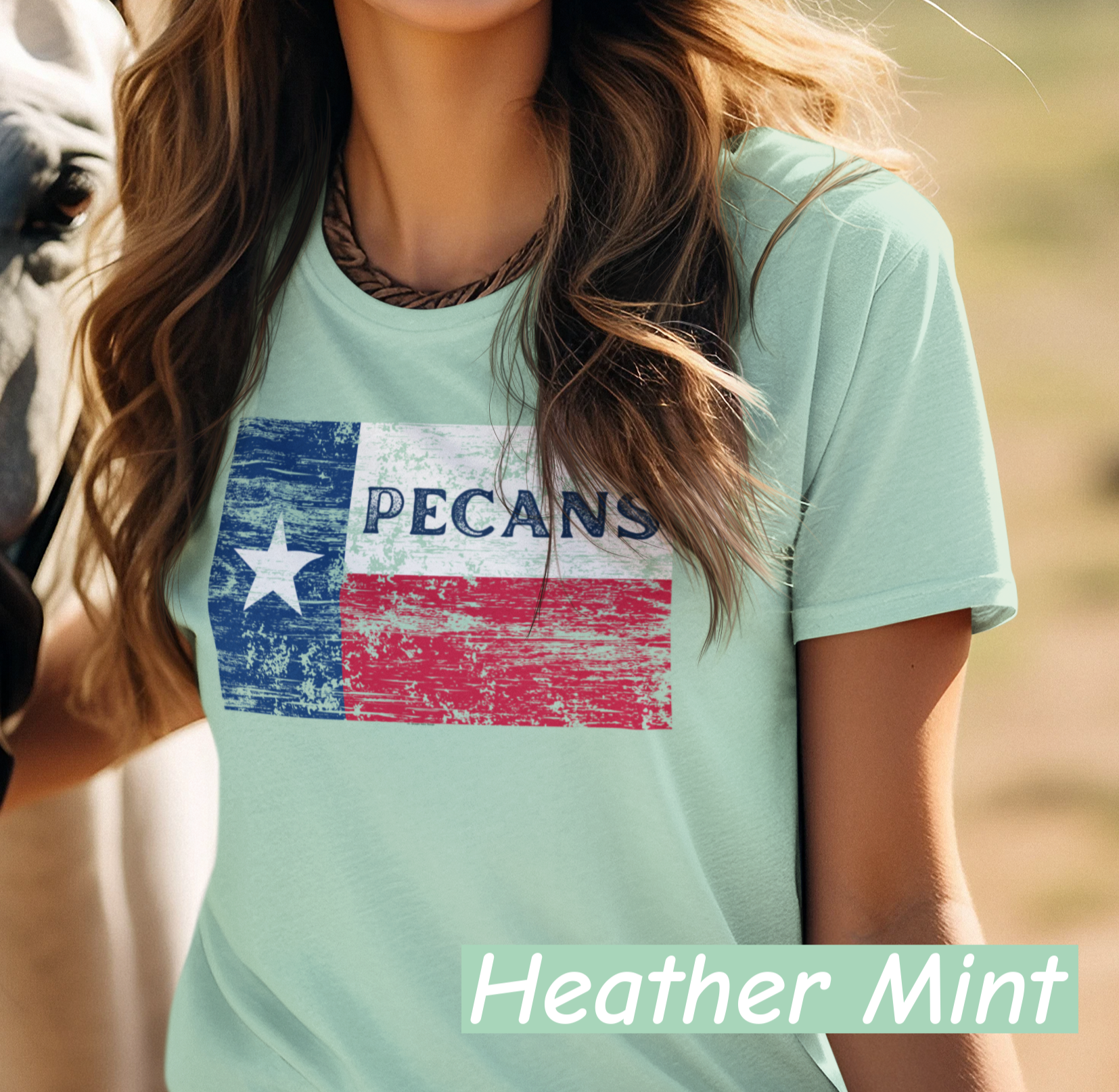 “Distressed Texas flag t-shirt with the word Pecans across the Lone Star stripe – Bella+Canvas 3001 unisex tee by NuttyMerch”